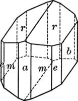 amfinol, wijnoogst illustratie. vector