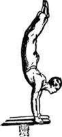 gymnastiek wijnoogst illustratie. vector