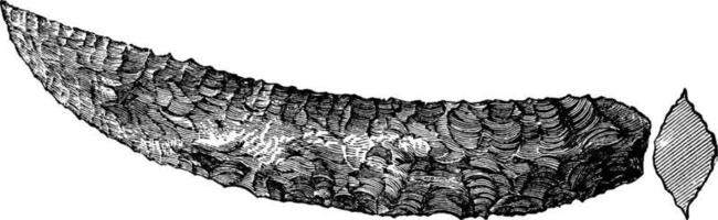 neolithicum vuursteen mes, wijnoogst illustratie. vector