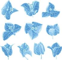 reeks van waterverf bloem, blauw flora clip art vector