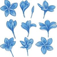 reeks van waterverf bloem, blauw flora clip art vector