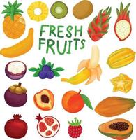 reeks van waterverf vers fruit clip art. vector