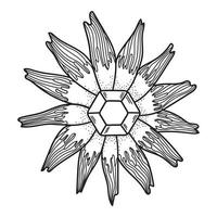 hand- getrokken bloem met kristal. magie symbool lijn kunst. vector illustratie geïsoleerd Aan wit achtergrond.
