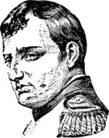 Napoleon, wijnoogst illustratie vector