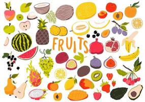 fruit en bessen set. tropisch. gesneden stukken. biologisch en vegetarisch voedsel. tekening vector illustratie