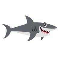 tekenfilm tekening van een haai vector