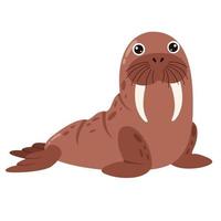 tekenfilm tekening van een walrus vector