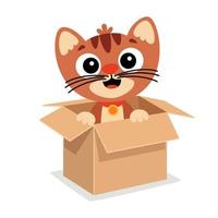 tekenfilm kat poseren in een doos vector