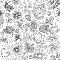 naadloos bloemen patroon met bloemen en bloemknoppen in tekening techniek vector