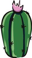 cactus zonder een pot, illustratie, vector Aan een wit achtergrond.