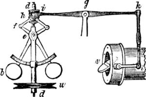 gouverneur, wijnoogst illustratie. vector