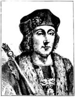 Henry vii van Engeland, wijnoogst illustratie vector