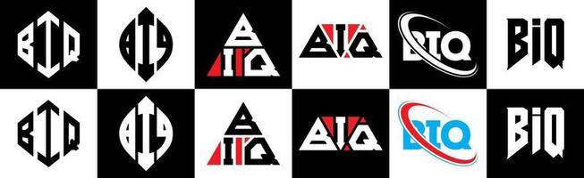 biq brief logo ontwerp in zes stijl. biq veelhoek, cirkel, driehoek, zeshoek, vlak en gemakkelijk stijl met zwart en wit kleur variatie brief logo reeks in een tekengebied. biq minimalistische en klassiek logo vector