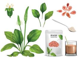 psyllium fabriek Product reeks vector