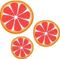 grapefruit plak, illustratie, vector Aan wit achtergrond.