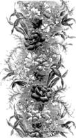 lint patroon hebben een vol decoratief planten patroon, wijnoogst gravure. vector