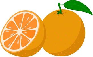 vers oranje. geheel oranje fruit en een oranje besnoeiing in voor de helft. tekenfilm stijl. vector illustratie geïsoleerd Aan een wit achtergrond