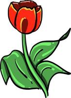 papaver bloem, illustratie, vector Aan wit achtergrond