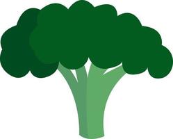 smakelijk broccoli, illustratie, vector Aan wit achtergrond.