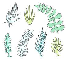 reeks vector tekening planten, Super goed ontwerp voor ieder doeleinden.