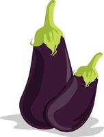 Purper aubergine, illustratie, vector Aan wit achtergrond