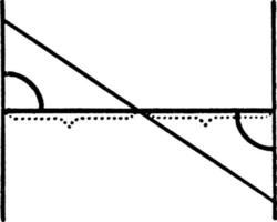 parallel lijnen besnoeiing door een loodrecht en transversaal, wijnoogst illustratie vector