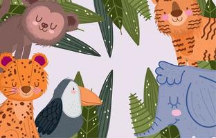 schattig luipaard olifant aap tijger en papegaai safari dieren en gebladerte tekenfilm vector