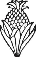 ananas doodad wijnoogst illustratie. vector