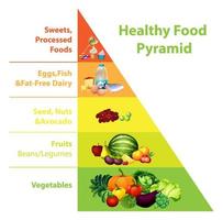 gezonde voedselpiramidegrafiek op witte achtergrond vector