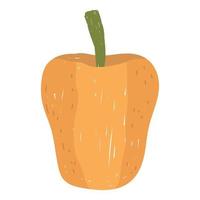 klok peper vers groente Gezondheid voedsel icoon wit achtergrond vector