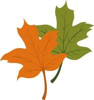 herfst bladeren, illustratie, vector Aan een wit achtergrond.