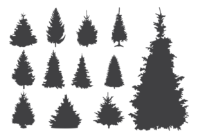 Sapin Silhouetten Vector