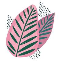 roze bladeren decoratie abstract ornament icoon wit achtergrond vector