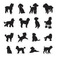 poedel hond silhouetten, poedel hond silhouet verzameling. vector