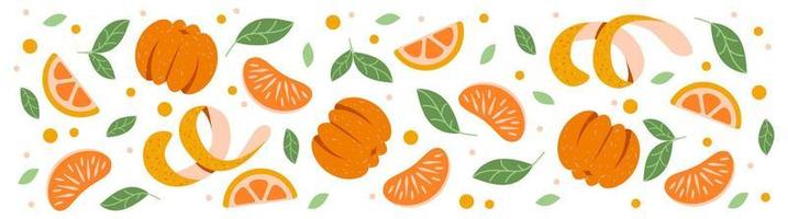 horizontaal eco banier met citrus vruchten. mandarijnen, sinaasappelen. achtergrond voor oranje sap of jam vector