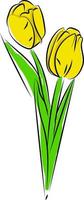 geel tulpen, illustratie, vector Aan wit achtergrond.