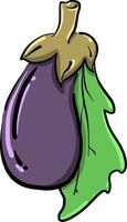 Purper aubergine, illustratie, vector Aan wit achtergrond