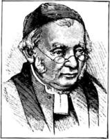 rev. edward bouverie poesje, wijnoogst illustratie vector