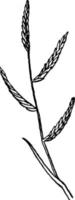 stormloop zout gras wijnoogst illustratie. vector