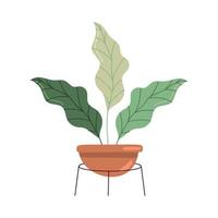 kamerplant in pot vector