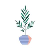 kamerplant in lila pot vector