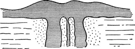 metamorfose van kalksteen, wijnoogst illustratie. vector