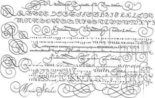 voorbeelden van de Nederlands hoofdsteden, de staand brief en cursief hand, wijnoogst illustratie. vector