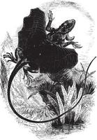 vliegend draak, wijnoogst illustratie. vector