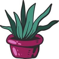 groen fabriek in een roze pot, illustratie, vector Aan wit achtergrond