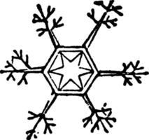 sneeuw Kristallen, wijnoogst illustratie. vector