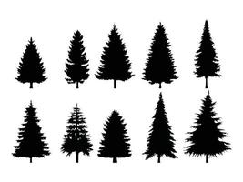 reeks van pijnboom bomen silhouet Aan een wit achtergrond. vector