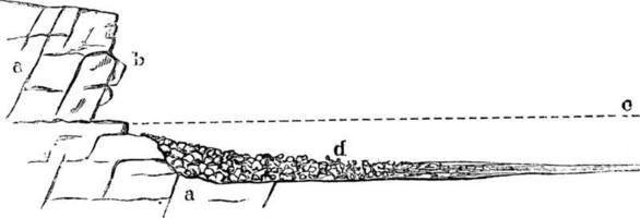 kust- sedimenten, wijnoogst illustratie. vector