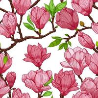 roze bloesem magnolia bloemen, naadloos patroon. hand- getrokken illustratie vector