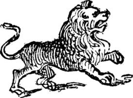 leeuw, wijnoogst illustratie. vector